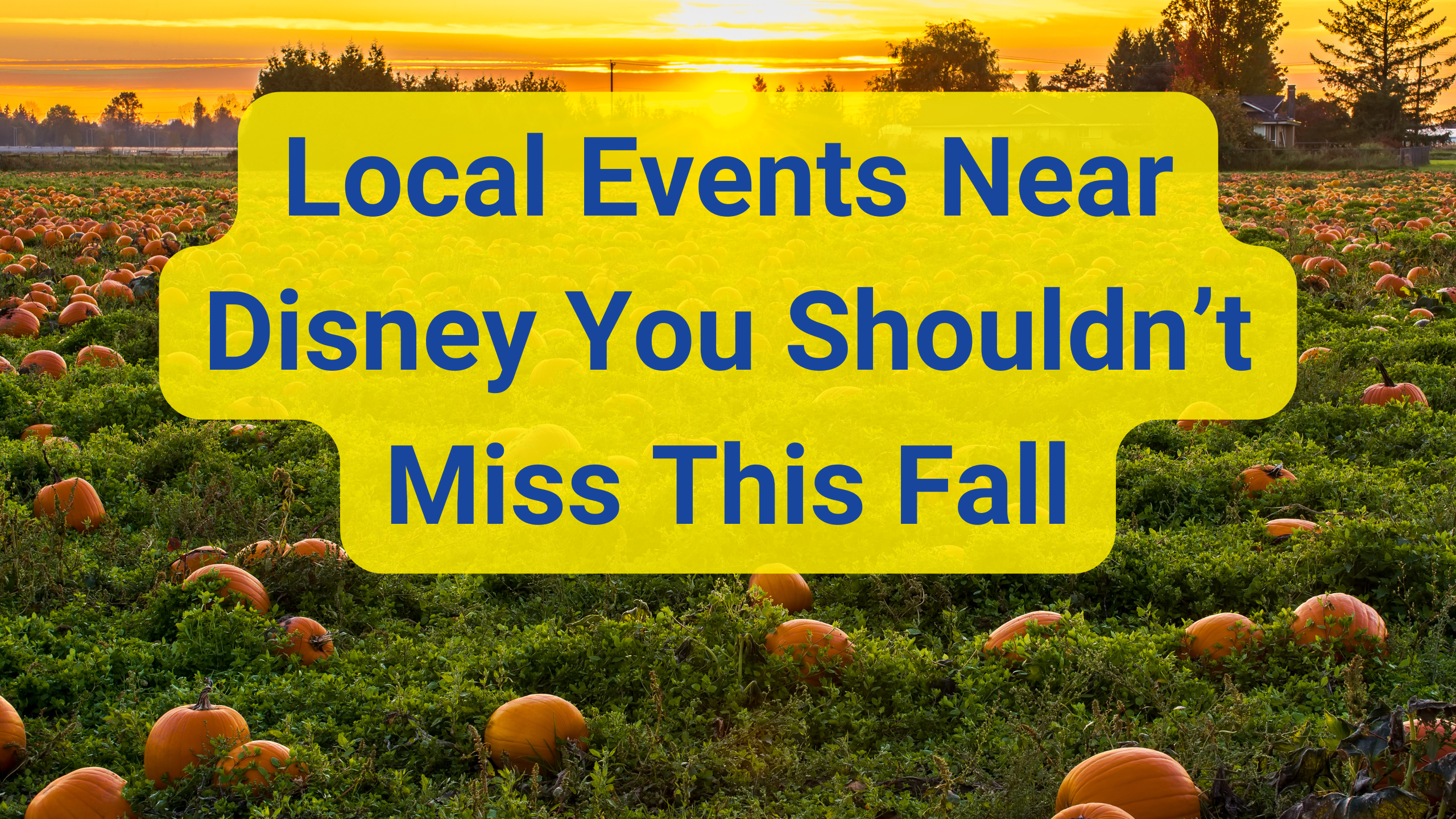 Local Events Near Disney You Shouldn’t Miss This Fall