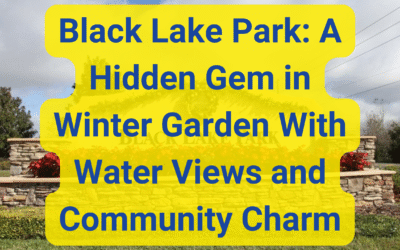 Black Lake Park: A Hidden Gem in Winter Garden With Water Views and Community Charm