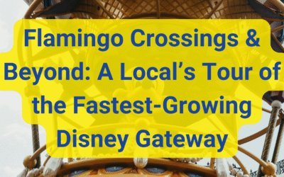 Flamingo Crossings & Beyond: A Local’s Tour of the Fastest-Growing Disney Gateway