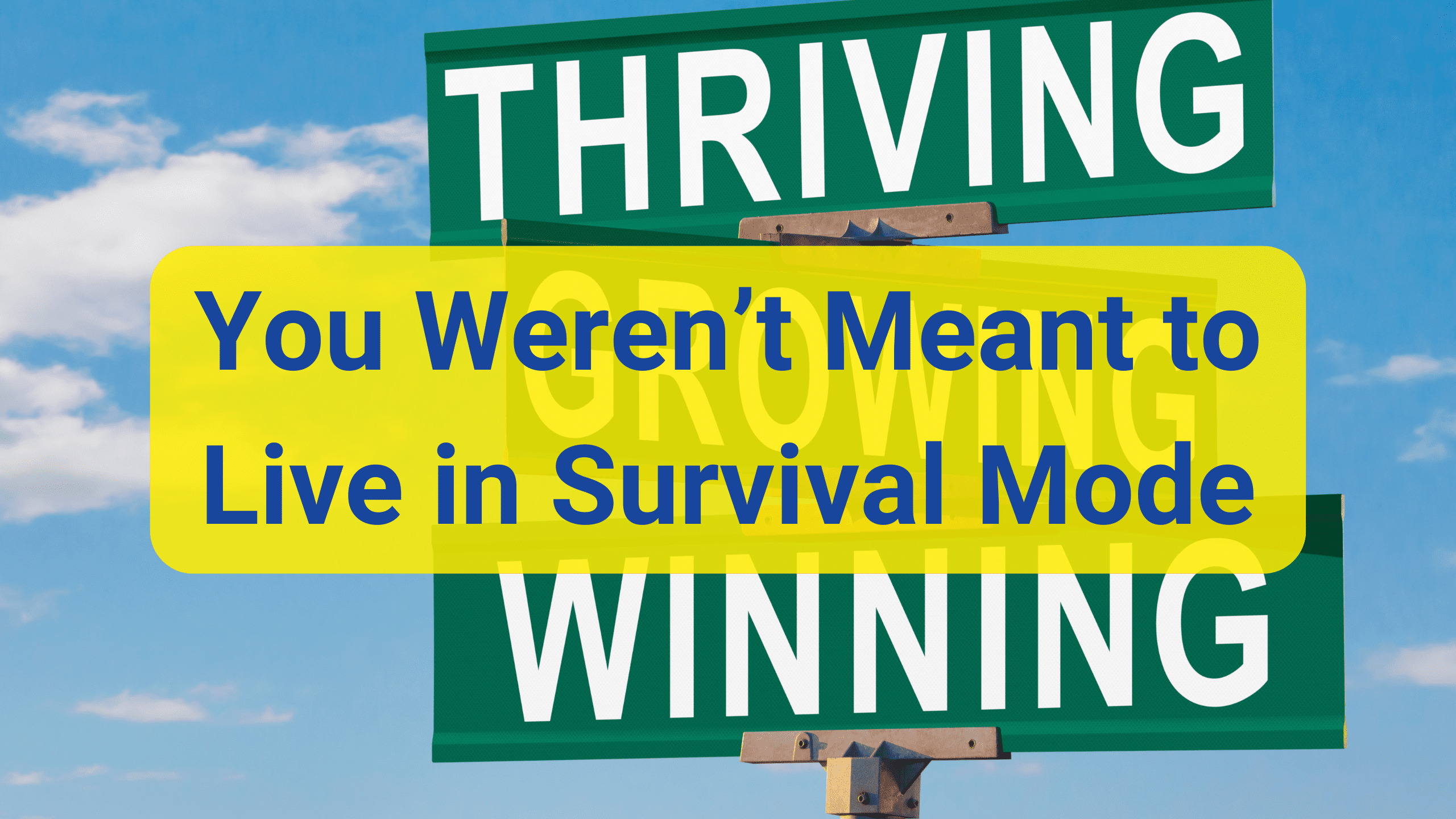 You Weren’t Meant to Live in Survival Mode You Weren’t Meant to Live in Survival Mode