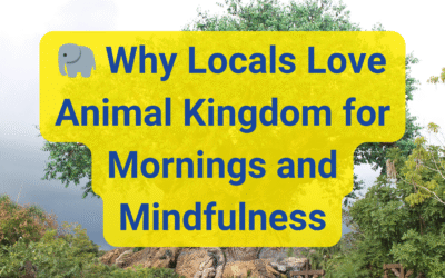 🐘 Why Locals Love Animal Kingdom for Mornings and Mindfulness
