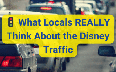 🚦 What Locals REALLY Think About the Disney Traffic