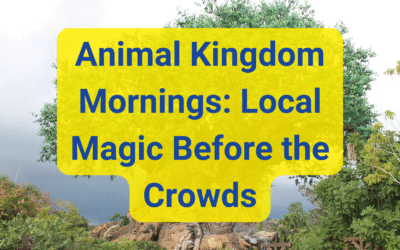 🐘 Animal Kingdom Mornings: Local Magic Before the Crowds