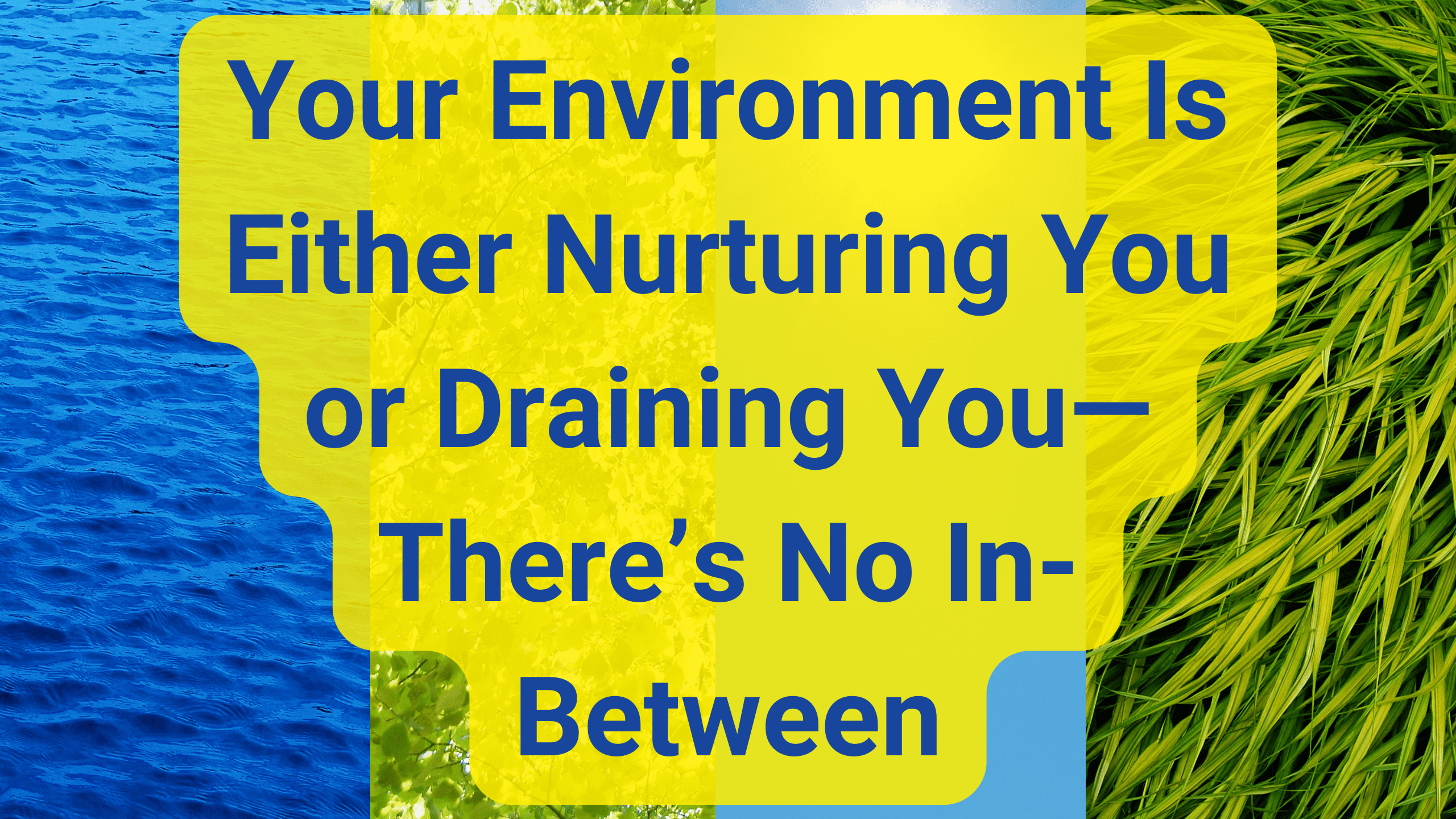 Your Environment Is Either Nurturing You or Draining You—There’s No In-Between Your Environment Is Either Nurturing You or Draining You—There’s No In-Between