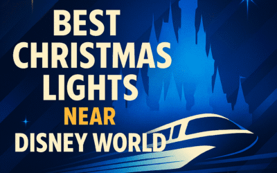 Best Christmas Lights Near Disney