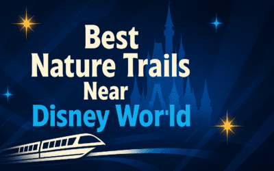 Best Nature Trails Near Disney World