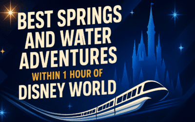 Best Springs and Water Adventures Within 1 Hour of Disney World